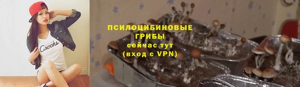 apvp Снежногорск