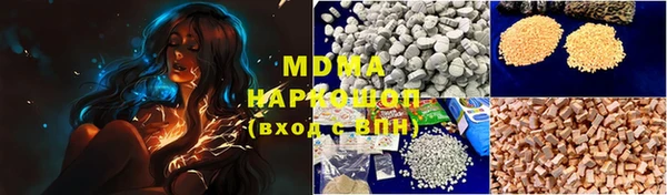 прущие грибы Белокуриха